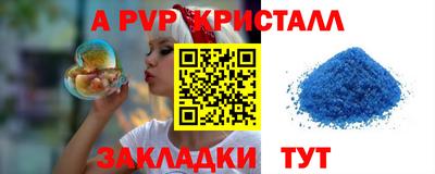 шишки Кингисепп