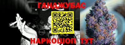 шишки Кингисепп