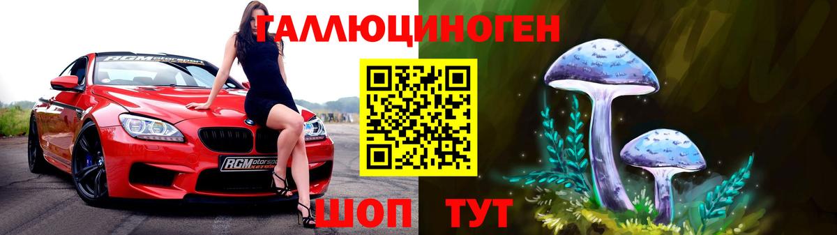 Мончегорск  Псилоцибиновые грибы Psilocybe  Вход с VPN 